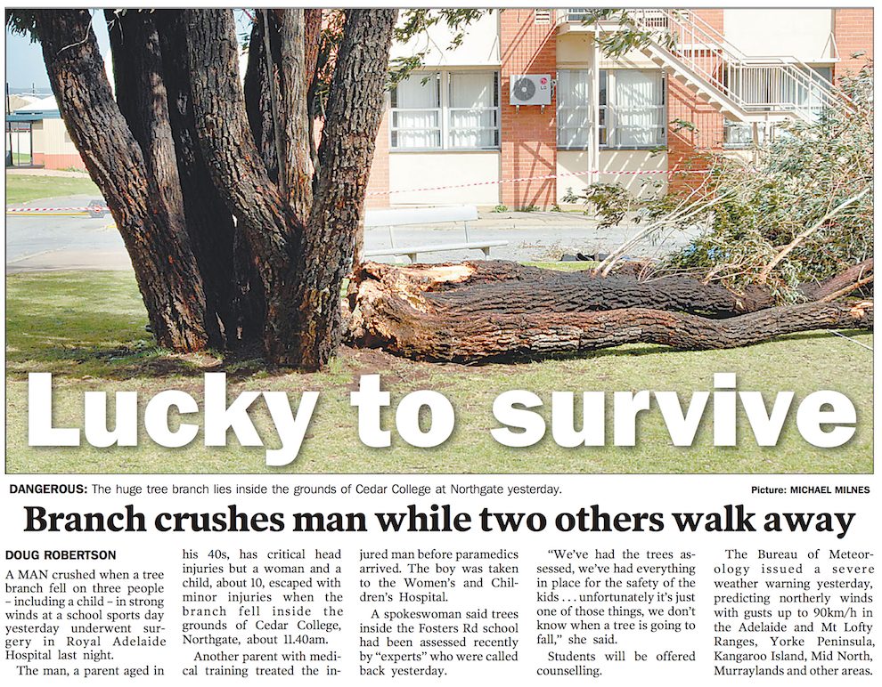 adelaide advertiser newspaper describing the accident at cedar college northgate including a photo of the tree. Title is 'lucky to survive'