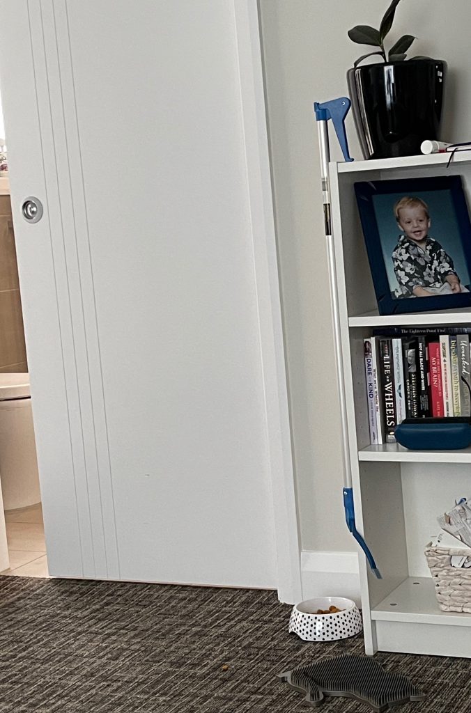 my long grabber sits on top of the bookcase, and too far from me to grab