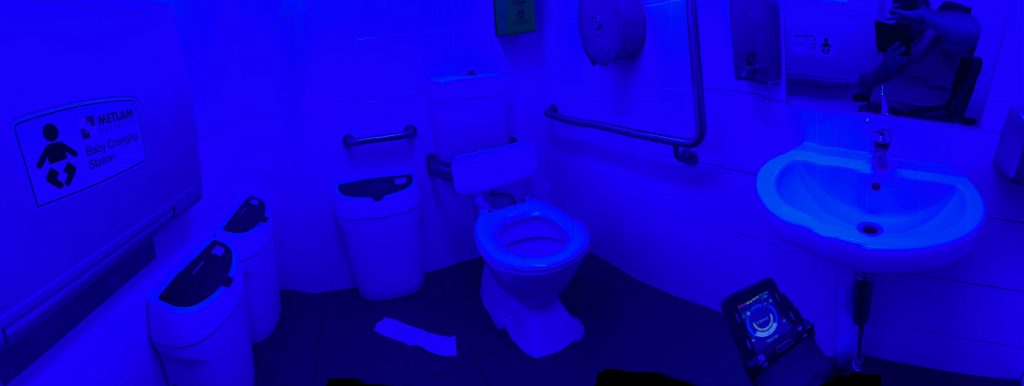 so much blue showing. left to right - change table, 3 bins, toilet, hand rail and paper dispenser on wall, then hand basin and mirror too. thg