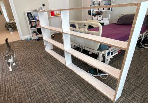 spartacus the cat inspect the bookshelf